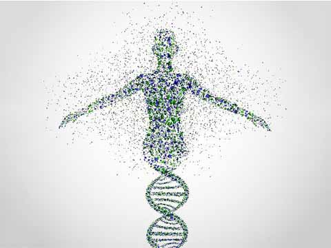 基因可预测人类死亡时间？死亡早已天注定？