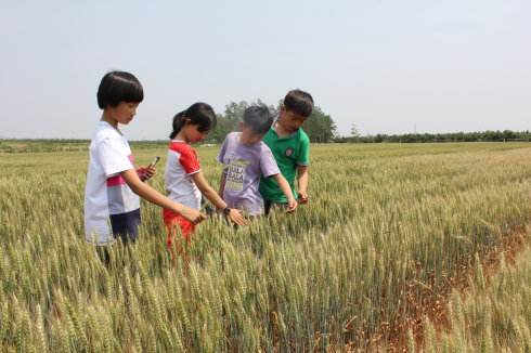 芒种时节易犯懒 中午午休能养阳