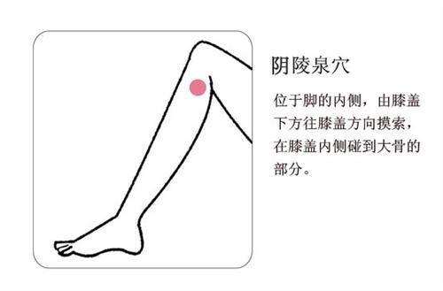 4624961-7ffd20ea555818ee.jpg