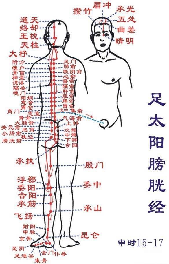4624961-cf54c8fe301e7a98.jpg