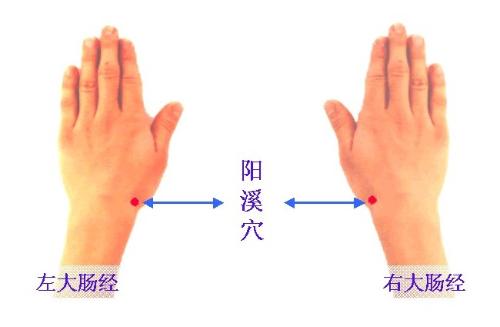 失眠揉20分钟阳溪穴