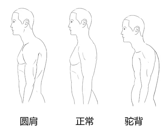 三个动作挺拔让您身姿