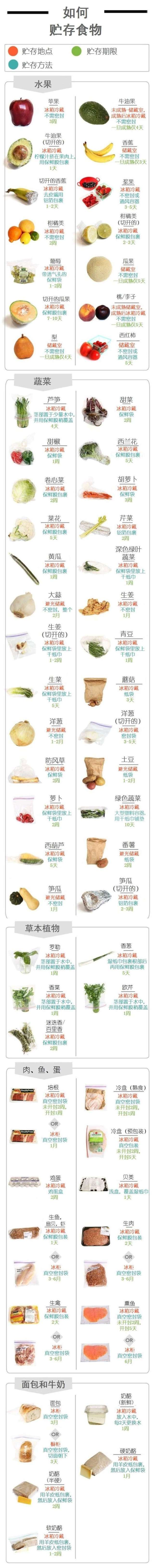 如何储存食物