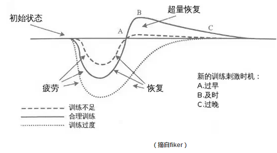 “三分锻炼七分吃” 健身的进阶攻略