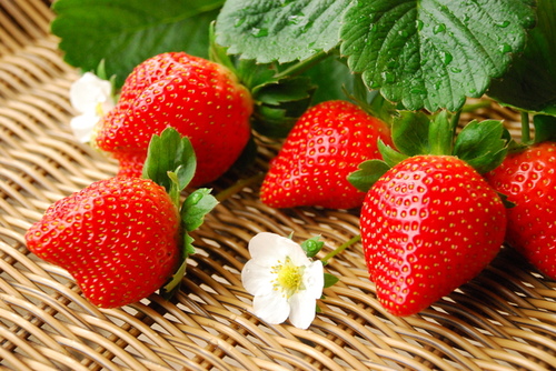 空心草莓都是激素催熟的吗？