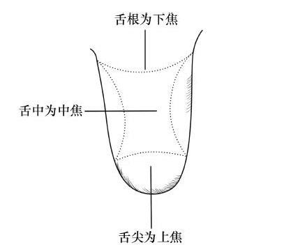 舌头暗藏玄机 你会从舌下脉络看舌苔吗？