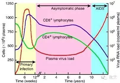 CD4