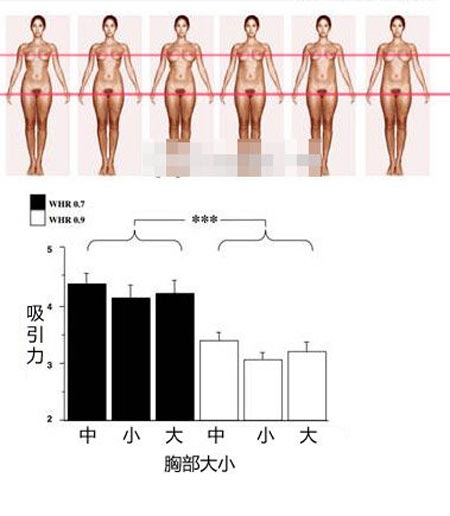 胸大腰细臀部丰满异性就喜欢？揭男人最喜欢的女人腰臀比例